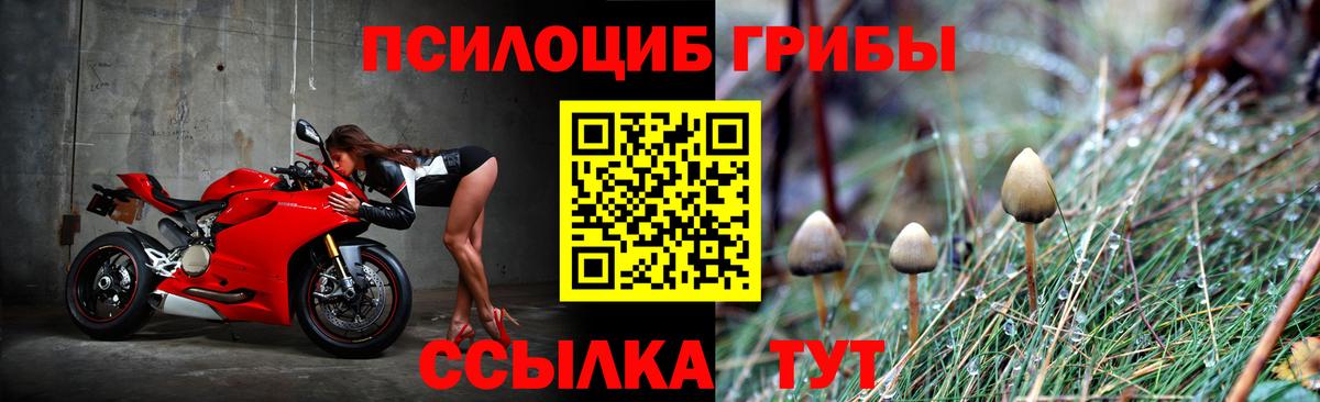 Санкт-Петербург  Псилоцибиновые грибы Cubensis  Вход с VPN  Галлюциногенные грибы Magic Shrooms 